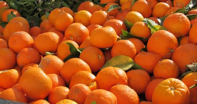 image illustrating blog article