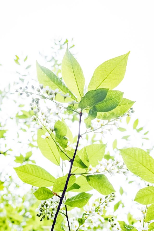 image illustrating blog article
